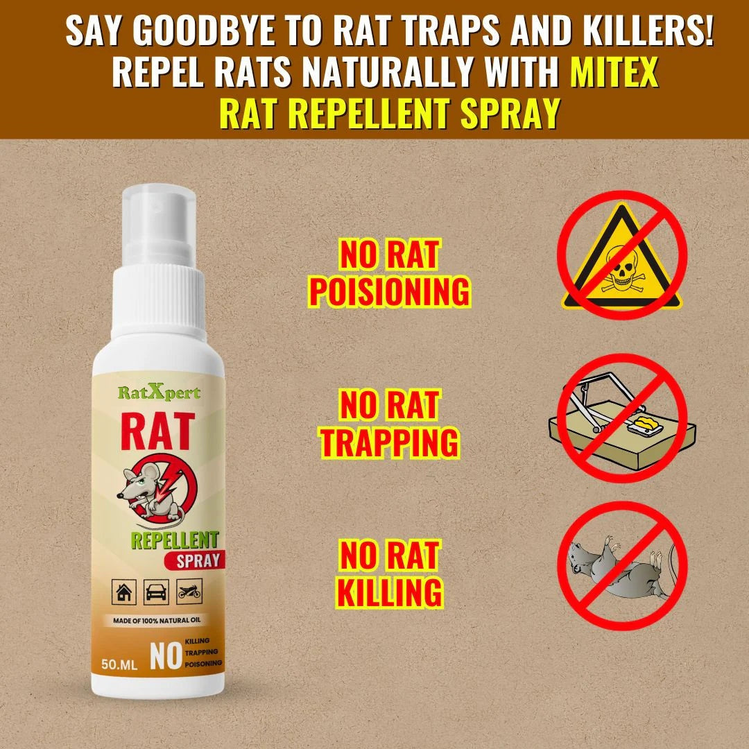 RatXpert-Pro™ - Rat Repellent Spray | 🔥BUY 1 GET 2 FREE🔥