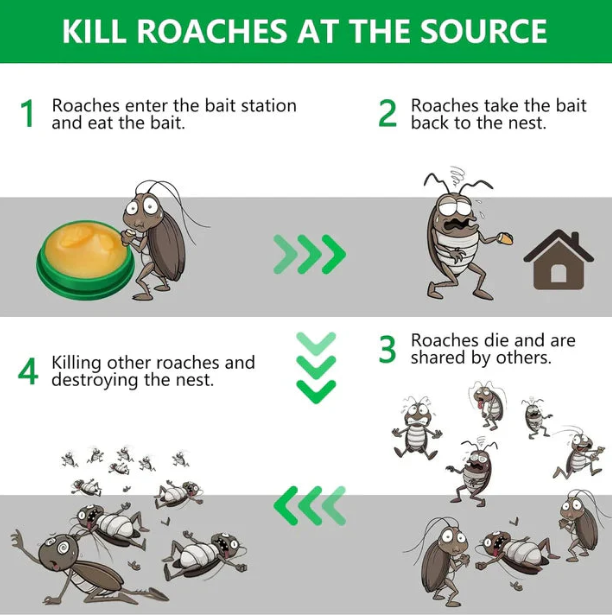 Ultimate Cockroach Killer Gel BUY 1 GET 1 FREE